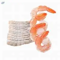 Premium Frozen Vannamei & Black Tiger Shrimp