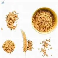 Wheat Bran