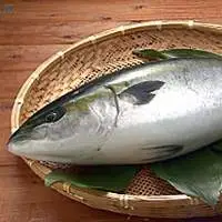 Yellowtail Fish (buri, Hamachi)  - Fruit Fish