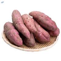 Sweet Potato (satsumaimo)