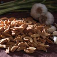 Dehydrated Garlic Flakes