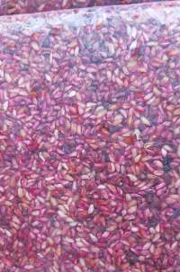 Dried Pomegranate Seeds