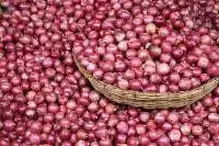 Fresh Red Onion