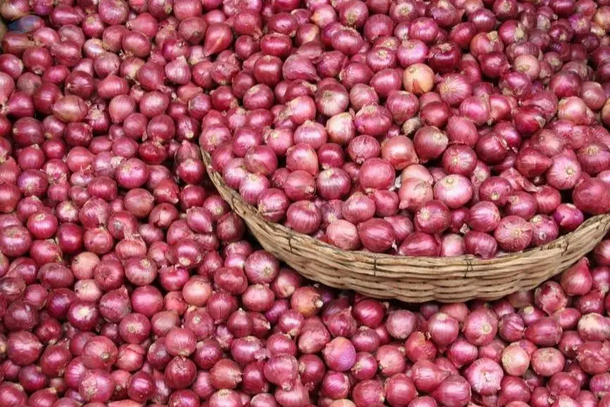Fresh Red Onion
