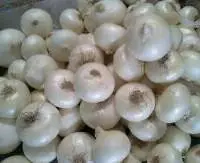 Fresh White Onion