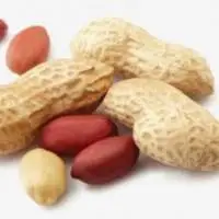 Peanut