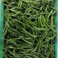 Green Chilli/G4 Chilli