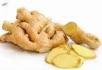 Ginger