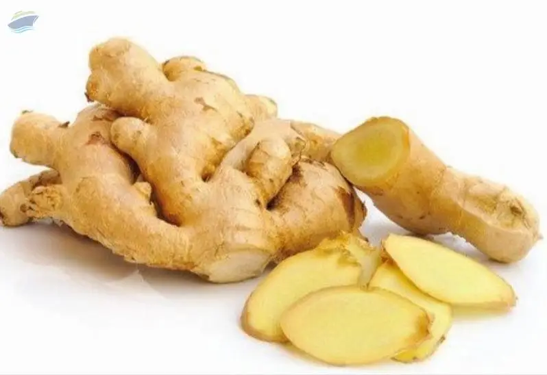 Ginger