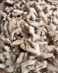 Dry Ginger