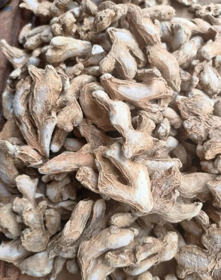 Dry Ginger