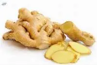 Fresh Ginger
