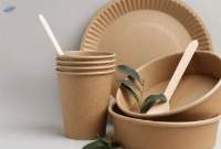 Disposable Tableware