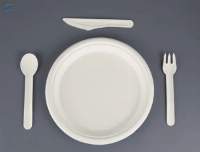 Sugarcane Bagasse Plates