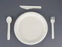 Sugarcane Bagasse Plates