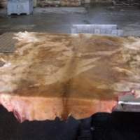 Salted Bovine Leather Cowhide