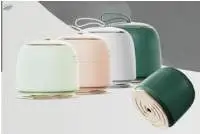 Mini Portable Electronic Iron