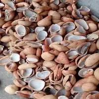 Dry White Edible Copra ( Small Size)