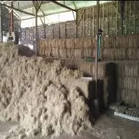 Coco Fiber