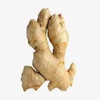 Ginger