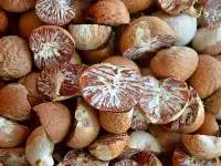 Betel Nuts
