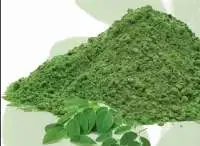 Moringa Olivera Powder
