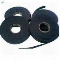 Magnetic Strip