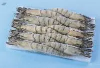 Black Tiger Shrimp