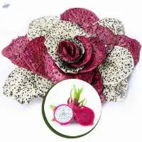 Dried Dragon Fruit