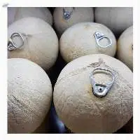 Fresh Young Coconut