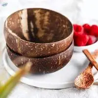 Coconut Shell Bowl