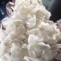 Dried Fish Scale