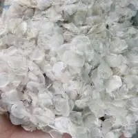 Dried Fish Scale
