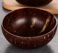 Coconut Shell Bowl