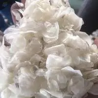 Dried Fish Scale