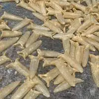 Dried Fish Maw