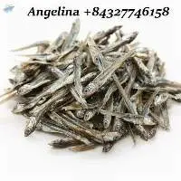 Dried Anchovy Fish