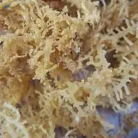 Dried Seaweed