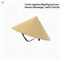 Vietnamese Conical Hat