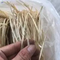 Rattan Peel