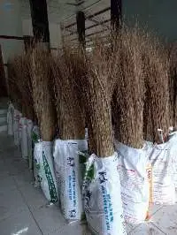 Coconut/Nipal Broom Stick