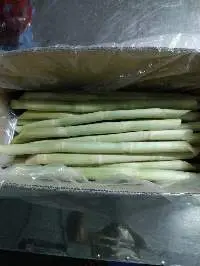 Frozen Sugarcane