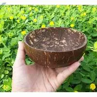 Coconut Bowl