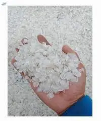 Dried Fish Scale