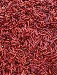 Dried Red Chilli