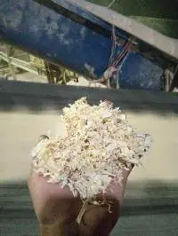 Pine Wood Sharving