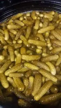 Canned Pickled Cucumber