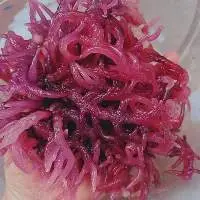 Dried Wildcrafted Seamoss