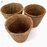 Coconut Coir Pot