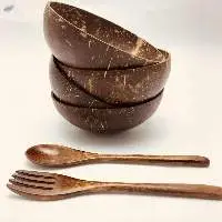 Coconut Shell Bowl
